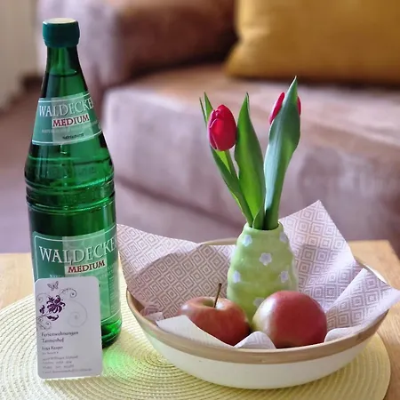 Apartment Tannenhof Willingen (Upland)