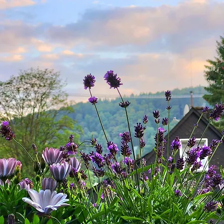 Lejlighed Tannenhof Willingen (Upland)