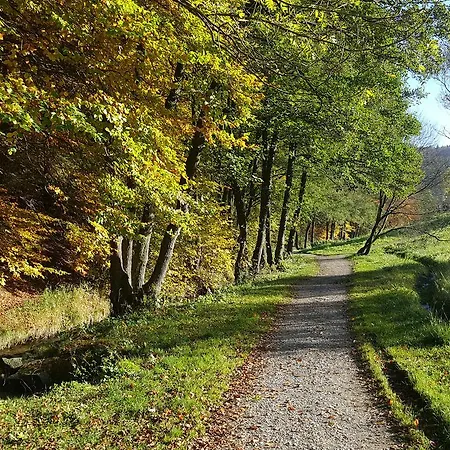Tannenhof Lejlighed Willingen (Upland)