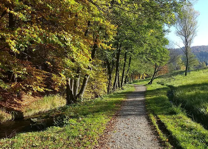 Tannenhof 아파트 빌링겐