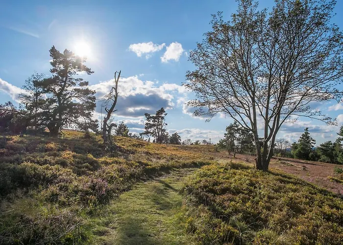 Tannenhof Willingen (Upland)